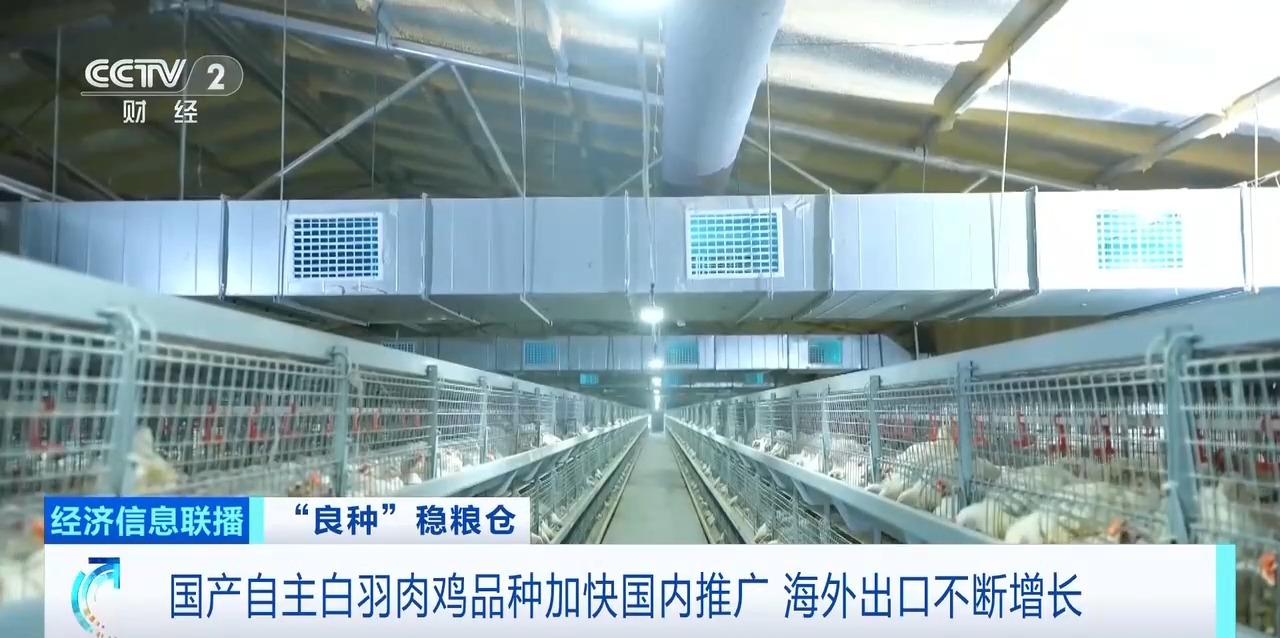 k8凯发(中国)天生赢家·一触即发