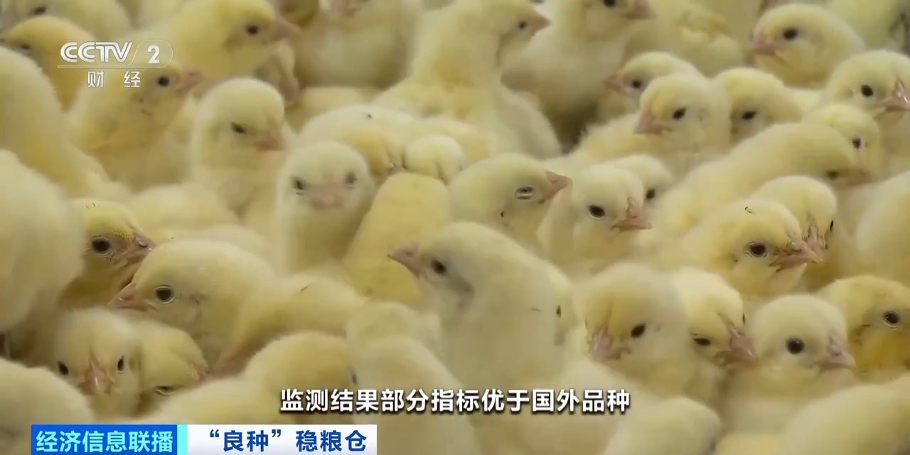 20260408094152_46030 k8凯发(中国)天生赢家·一触即发