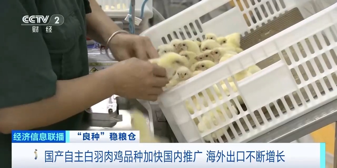20260408094220_95222 k8凯发(中国)天生赢家·一触即发