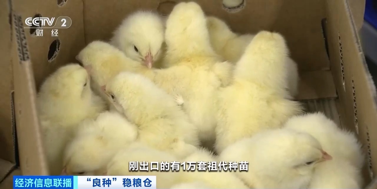 20260408094234_86644 k8凯发(中国)天生赢家·一触即发
